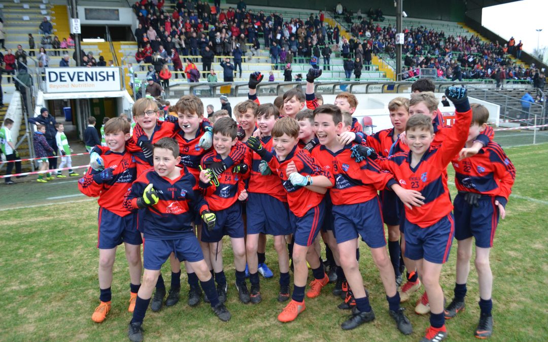 St. Paul’s Boys win the Meath Primary School’s Division 1 Shield final!