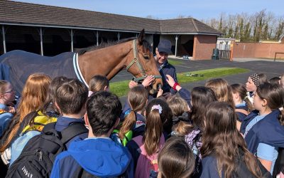 Fifth & Sixth Class trip to Fairyhouse