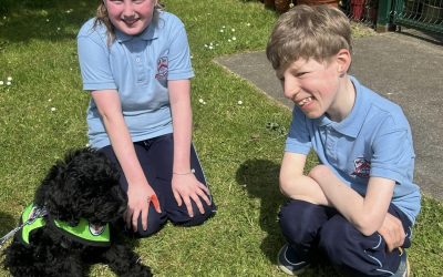 Welcome to our PAW-some new arrival